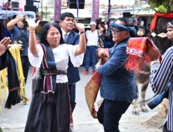 Mangalahat Horbo Diramaikan 61 Bius dari 9 Kecamatan Kabupaten Samosir.