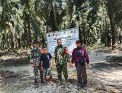 Lahan Sawit Koperasi SSL di Ketapang Disita Satgas PKH  