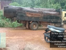 Truk Bawa Kayu di Nanga Tayap Diduga Tanpa Izin  