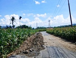 Tanpa Plank,Diduga Proyek Aspal Hotmix di Kabupaten Dairi Tidak Transparan