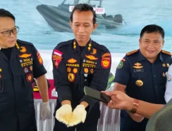 Bea Cukai Kepri Gagalkan Penyelundupan Benih Lobster ke Malaysia