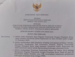 Harmonisasi Regulasi dan Standarisasi Penilaian Kinerja PPPK