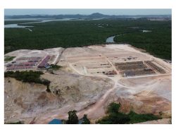 Alih Fungsi Ilegal Hutan Lindung Panaran Ancam Ekosistem dan Nelayan 