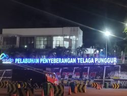 Pengawasan Barang di Telaga Punggur Diduga Longgar