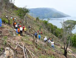 Menanam Harapan Hijau di Lereng Pusuk Buhit