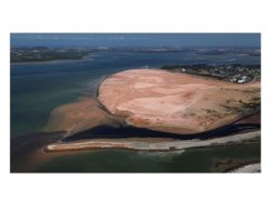 Reklamasi Ilegal Bengkong Sungai Menyempit Ekosistem Terancam