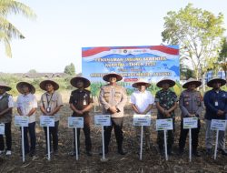 Polres Langkat Tanam Jagung Serentak Dukung Swasembada Pangan