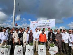 Pemkab Dan Utusan Khusus Presiden Tanam Pohon dan Bahas Mitigasi Bencana