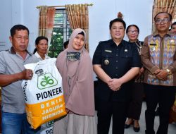 Salurkan Bibit Jagung , Bupati: Jangan Dijual Manfaatkan Maksimal