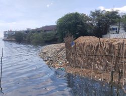 Lahan Dipagar Mangrove Pesisir Pantai Batam Ditimbun