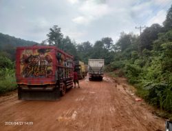 Jalan Provinsi di Ketapang Rusak Parah, Warga Desak Perhatian Pemerintah