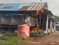Peternakan Ayam Sembulang Diduga Ilegal Cemari Lingkungan Warga