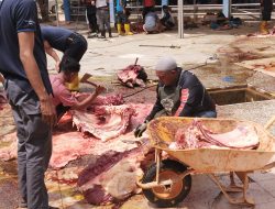 Masjid Agung Batam Kurban 6 Sapi dan 12 Kambing di Iduladha1447/2026