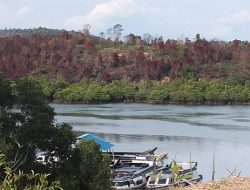 Pelabuhan Tikus Dekat Pos Bakamla Diduga Kebal Hukum