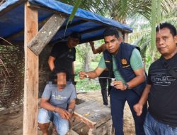 Polres Langkat Grebek Sarang Narkoba, Bakar Gubuk dan Ciduk Tersangka