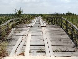 Jembatan Penghubung Suka Raja-Muntai Sukamara Dikeluhkan Warga
