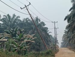 Kabel Terbengkalai Ancam Warga, PLN Singkup Hulu Disorot