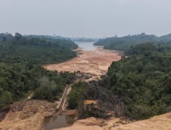 DAM Nongsa Mengerut: Jejak Sedimentasi Mengarah ke Daratan