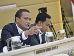 Prabowo Tak Bisa Berhentikan Wapres Gibran Sepihak