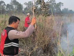 Kebakaran Semak Belukar Melanda Jabi Batu Besar Nongsa